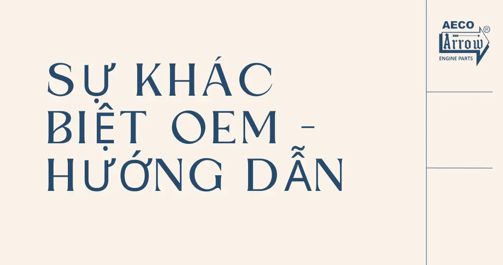 OEM và HƯỚNG DẪN